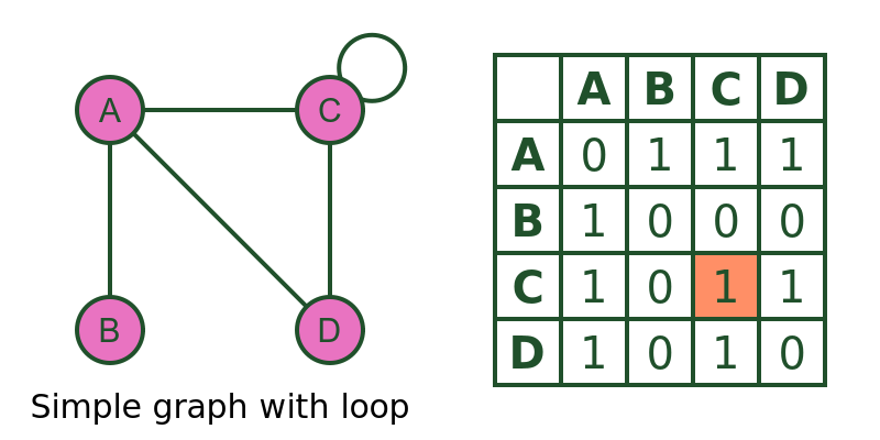 Simple graph wth loop